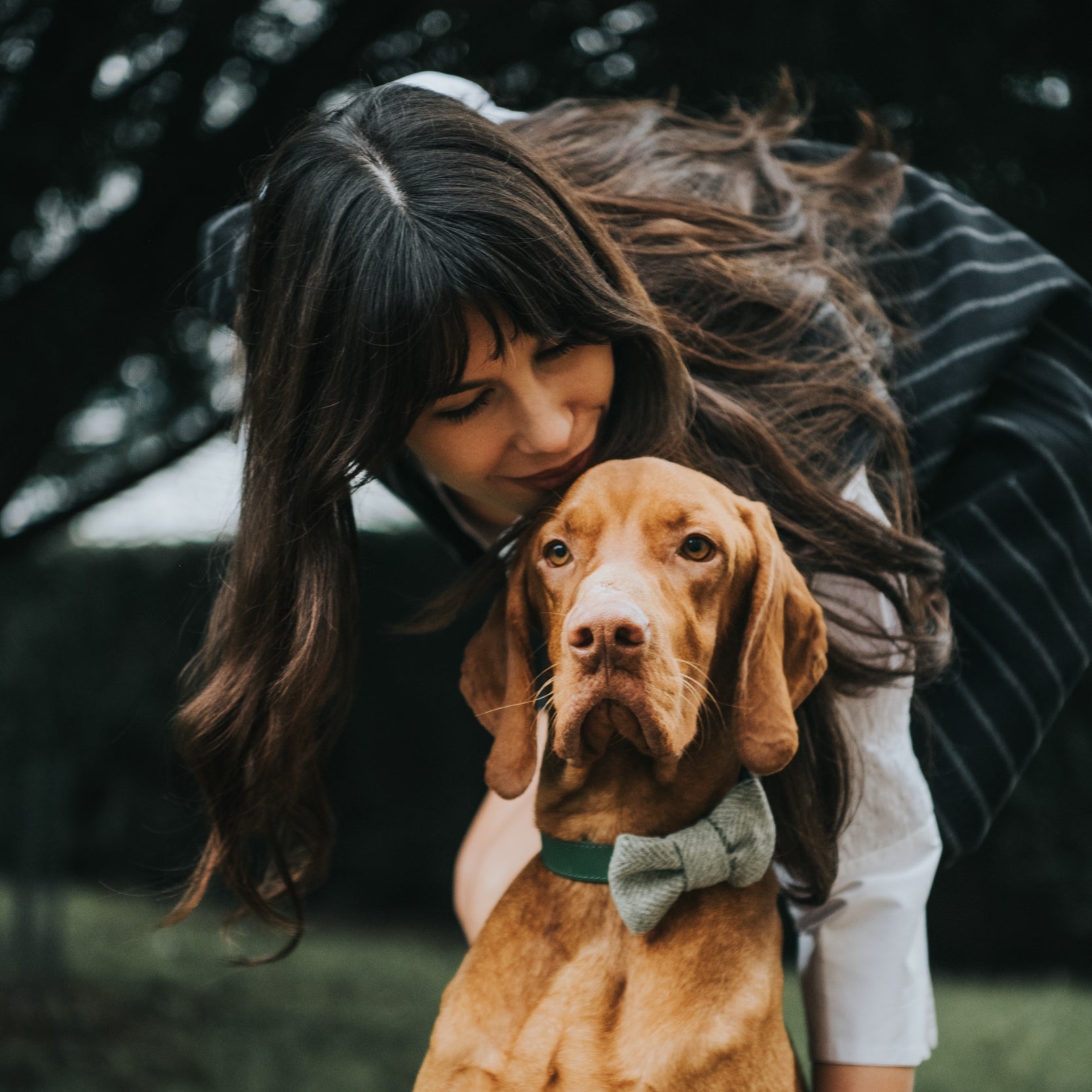 How to choose the right dog breed for your lifestyle?