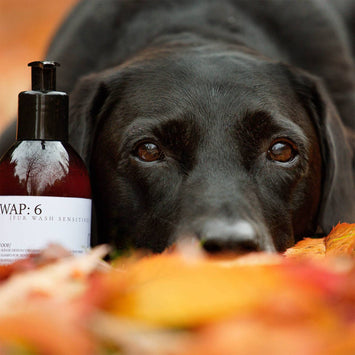 Fur Wash Sensitive