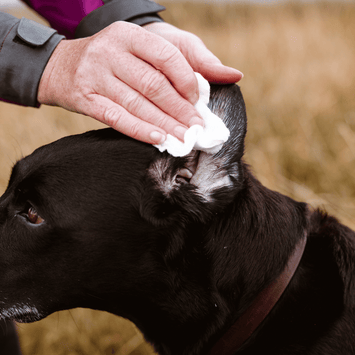 Ear Wash