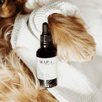 Paw Oil