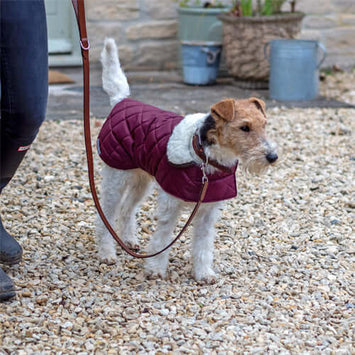 Quilted Coat
