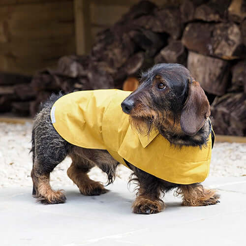 Mustard yellow waterproof coat sale