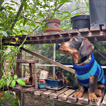 Smithy Blue Stripe Sweater