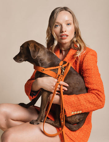 Butter Leather Harness