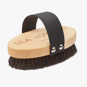 Brush Shorthair