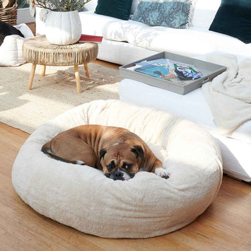 Comfy Sand Bed