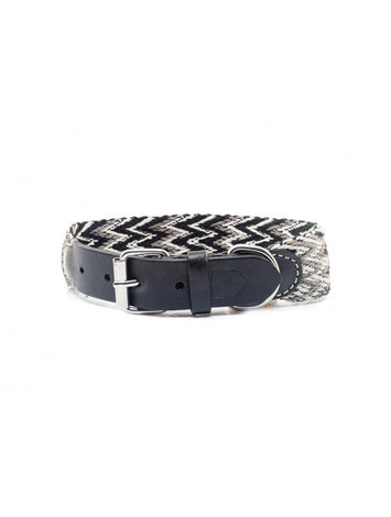Peruvian Black Collar