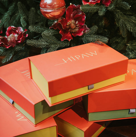 Unwrapping joy: Premium Christmas gift ideas for your four-legged family member