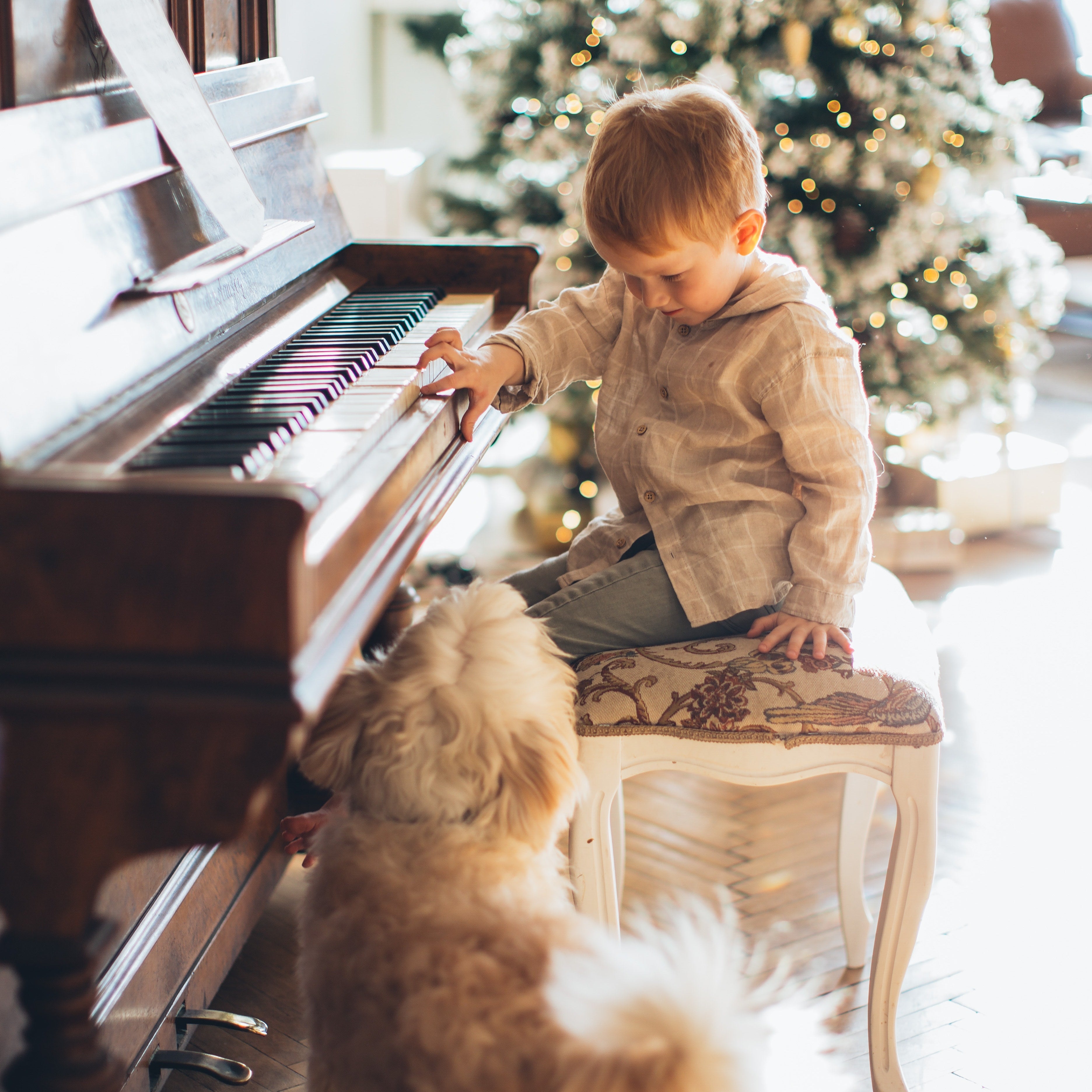 Positive effects of growing up with a dog