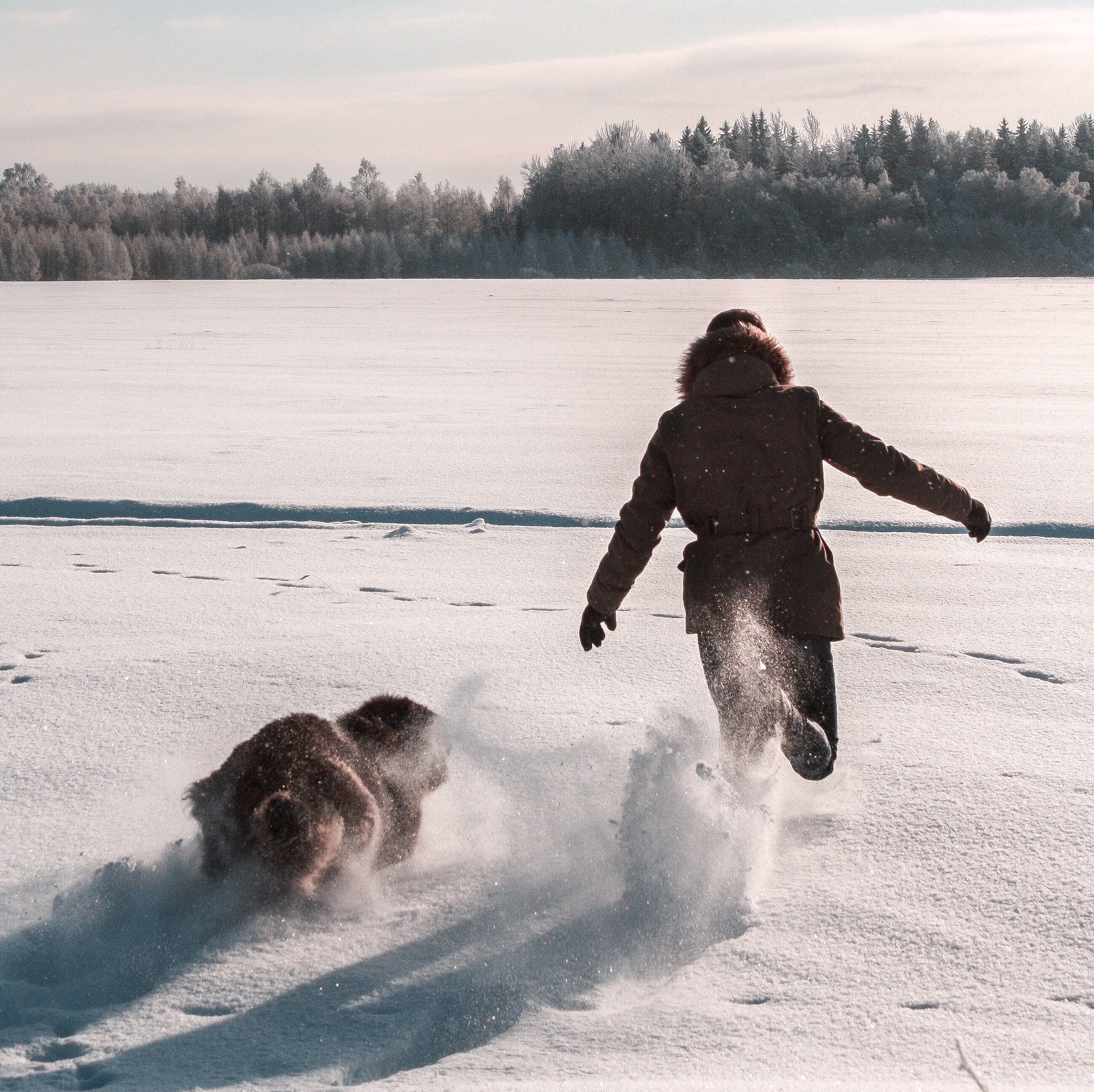 How to socialize your dog?