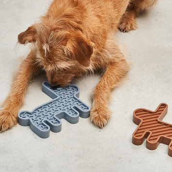 Lepre Brown Activity Toy