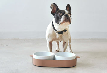 Tavoletta Grey Bowl Set