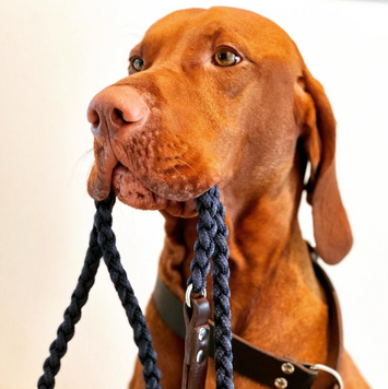 Touch of Leather Lead