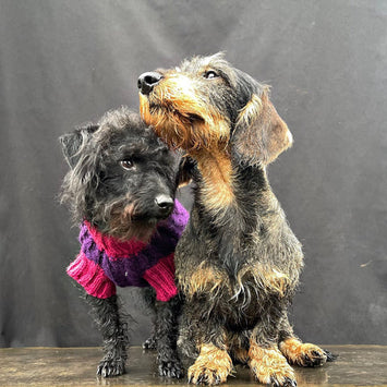 Wilmot Fuchsia Jumper