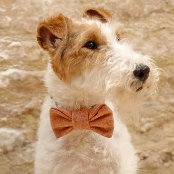 Sandstone Tweed Bow Tie