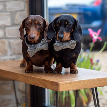 Stoneham Tweed Bow Tie