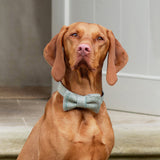 Willow Check Tweed Bow Tie
