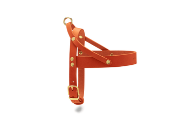 Butter Leather Harness