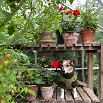 Wilmot Pistachio Jumper