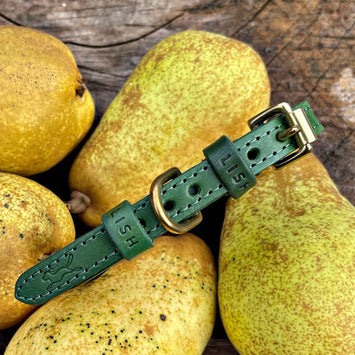 Coopers Avocado Leather Collar