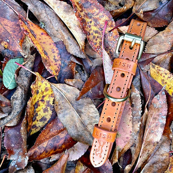 Coopers Caramel Leather Collar