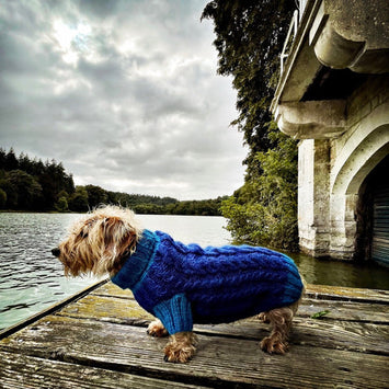 Wilmot Indigo Jumper