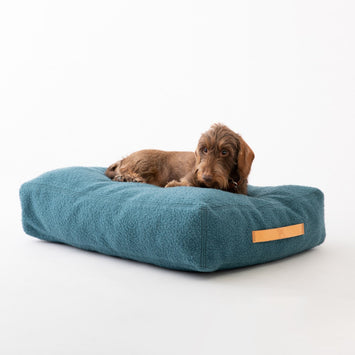 Elliott Casentino Cushion