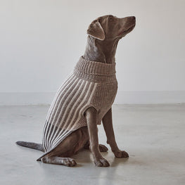 Filippo Dog Sweater