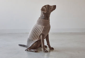 Filippo Dog Sweater